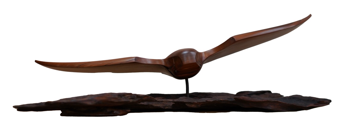 Karoro/Gull (Sculpture)