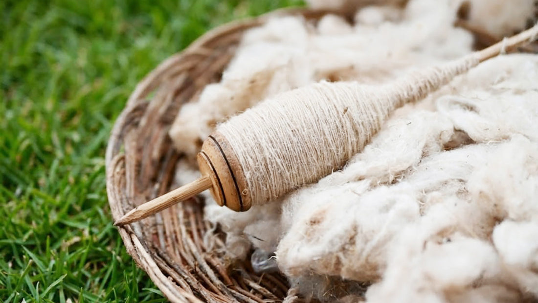 Alpaca Wool – A Luxurious Fiber