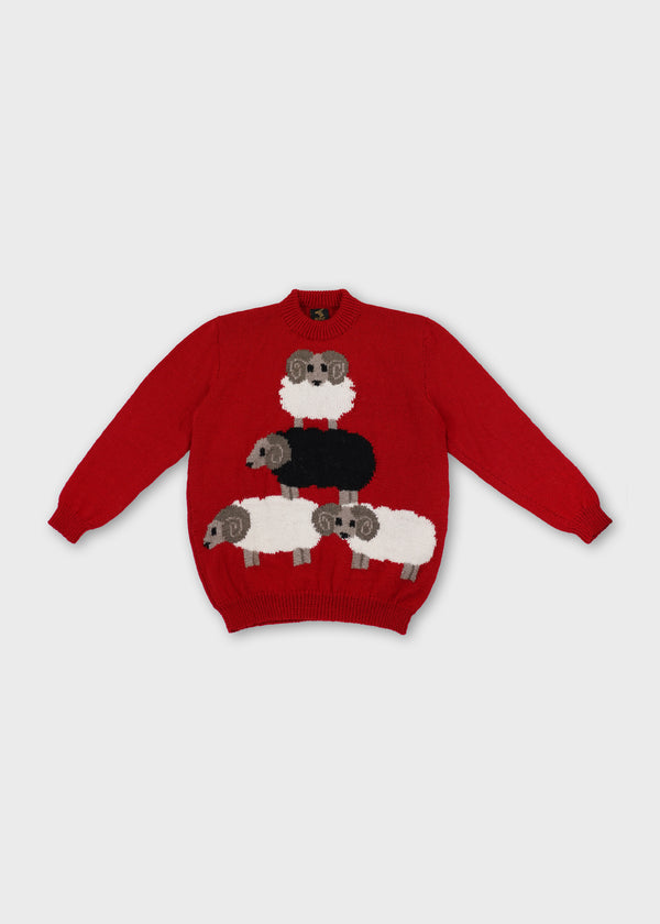 Black Sheep Jumper