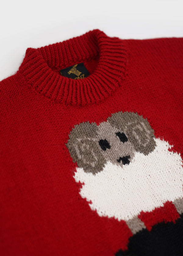 Black Sheep Jumper