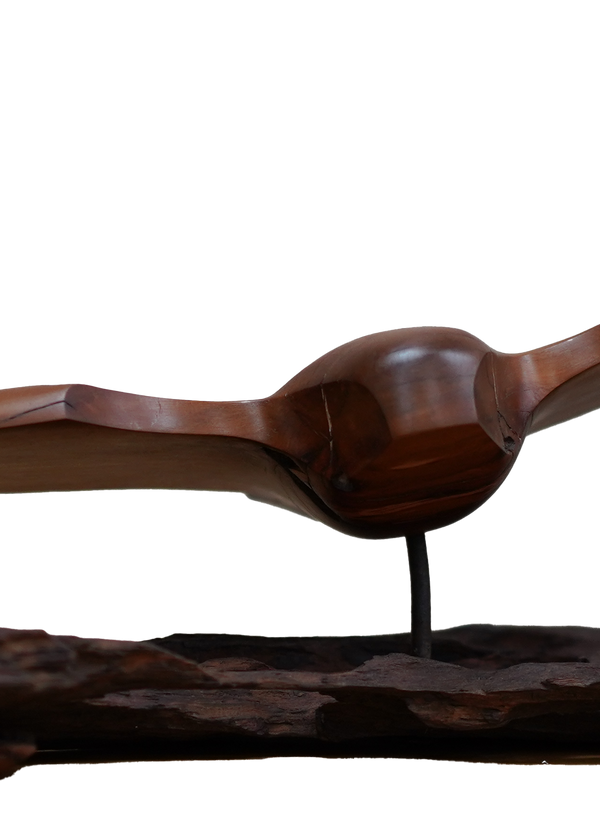 Karoro/Gull (Sculpture)