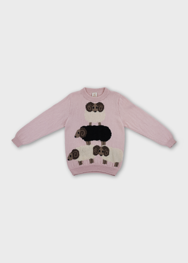Black Sheep Jumper