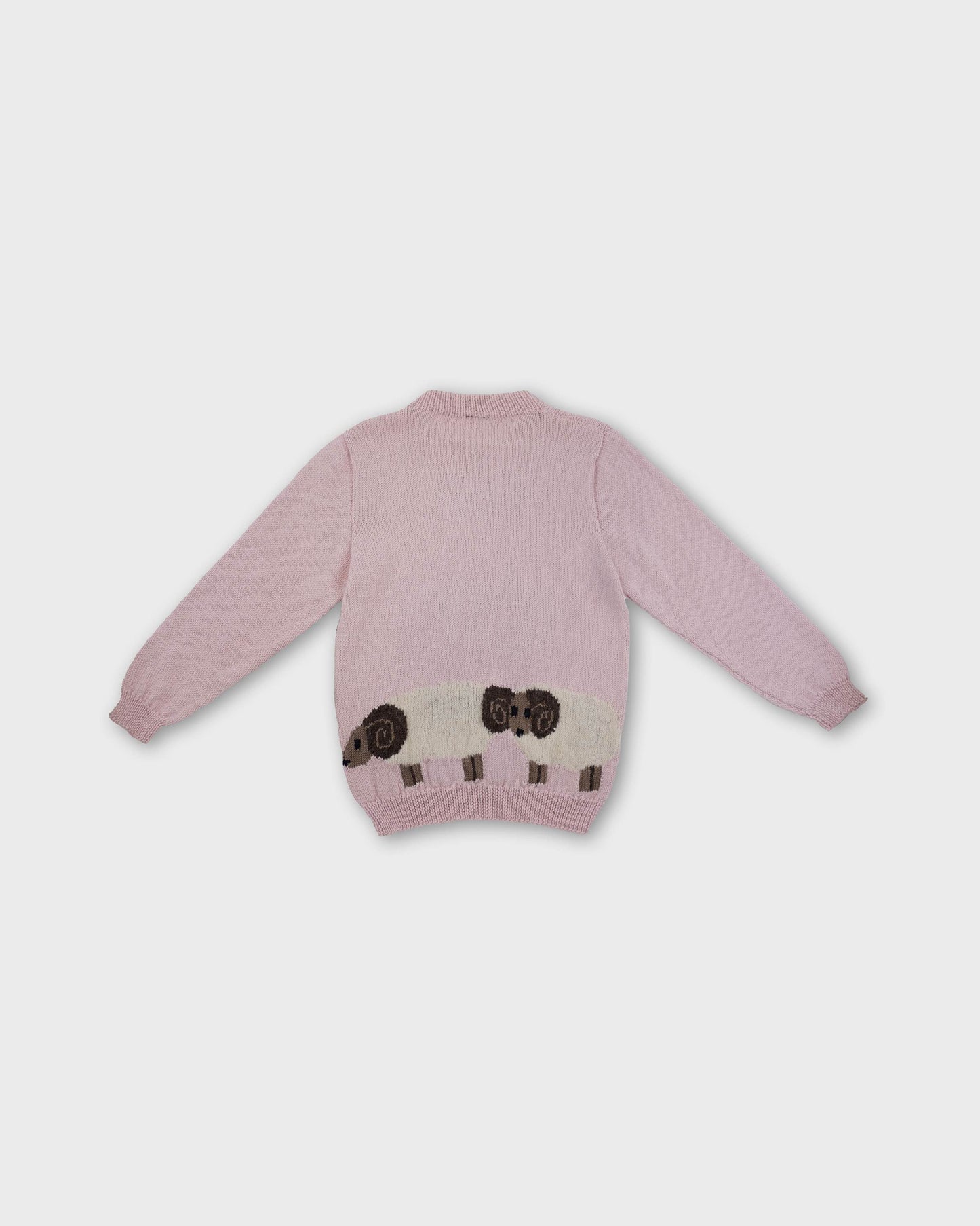 Black Sheep Jumper