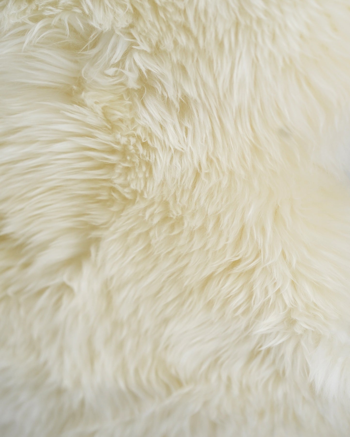 Sheepskin