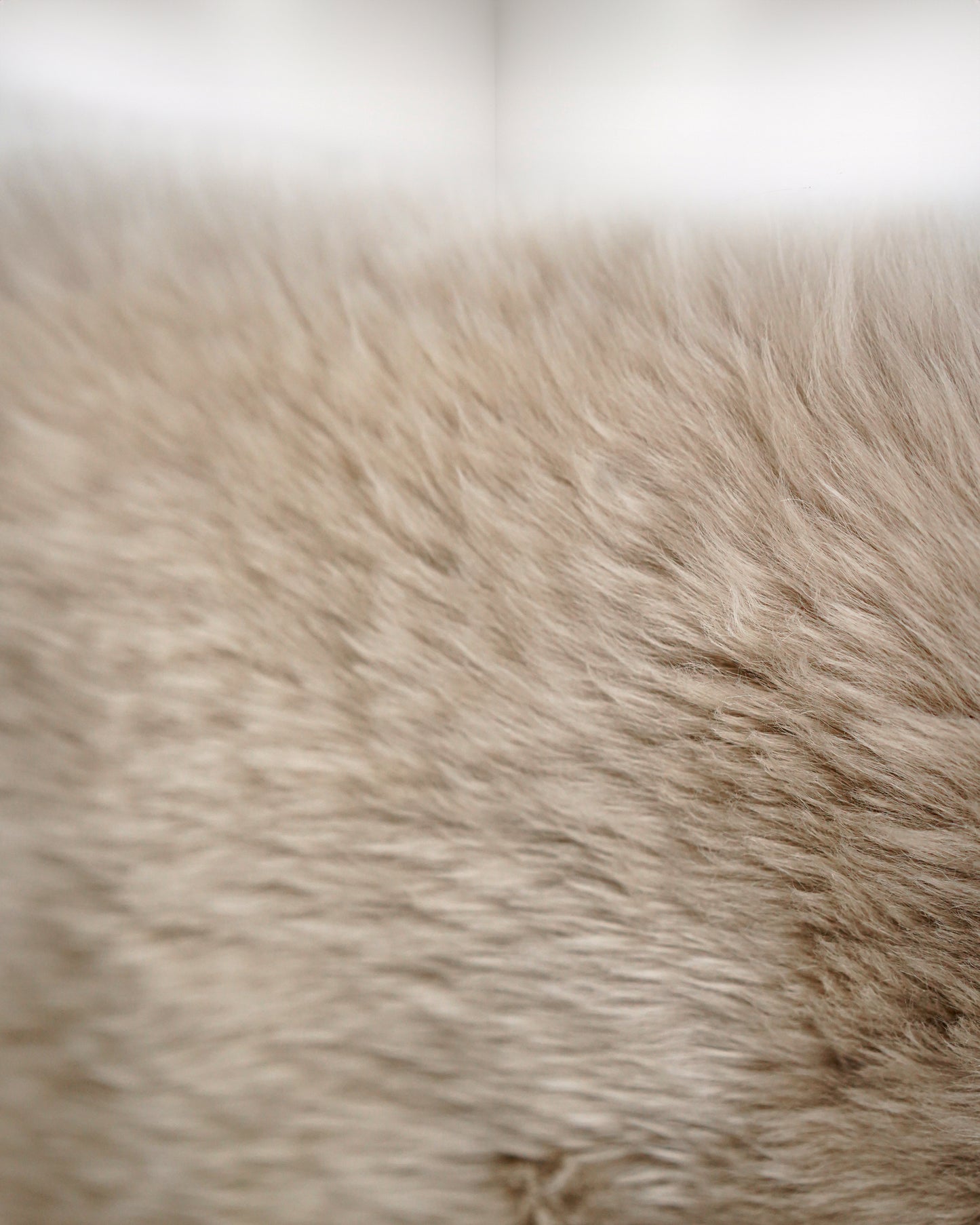 Sheepskin