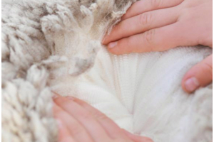Merino Wool - The New Standard for Soft and Warmth